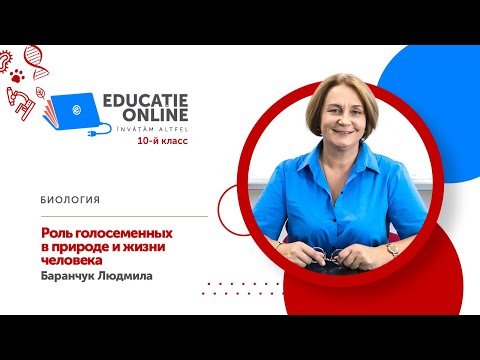 Биология, 10-й класс, Роль голосеменных в природе и жизни человека