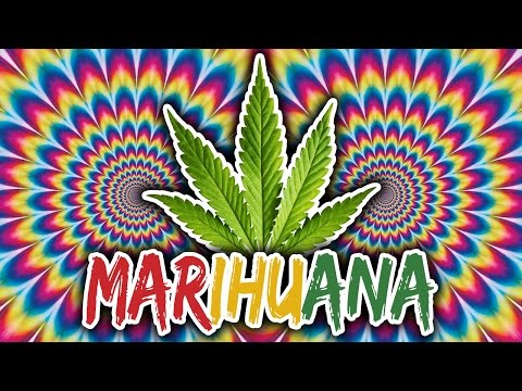 Wideo: Czy Koszerna Jest Marihuana? Wszystko Co Musisz Wiedzieć