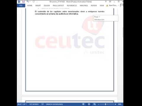 auditoria en informatica jose antonio echenique pdf