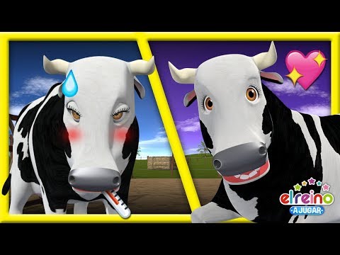 Video: ¿Cuántas vacas para lobola?