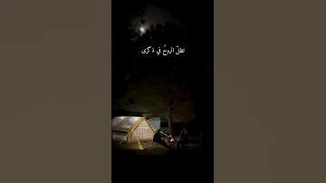 اينسى القلب إنسانا له في روحه مسرى توصيل القناه ٥٠٠٠ مشترك 
