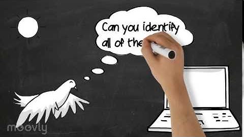 Identifying Desktop Icons