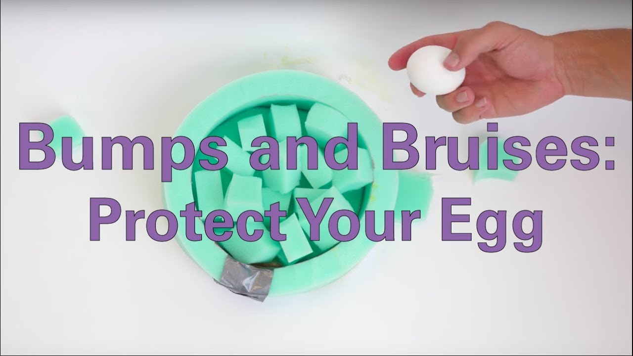 Bumps and Bruises in Sports: Protect Your Egg - Activity - TeachEngineering