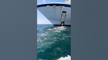 When cruise ships dump waste at sea 🚢💩🌊 | Ocean pollution is real!