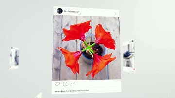 Instagram Slideshow. After Effects Project on Videohive.net