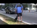 Dog Training- Heel & Come DVD is almost completed Dog Training- Heel & Come DVD is almost completed