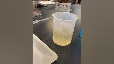 Diffusion Lab: Part 1 (Video 2)
