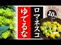 【ロマネスコ】の美味しい食べ方!驚くほど美味しくなる!