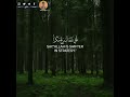 ارح قلبك❤😴//تلاوه هادئه جميله جدا//حالات واتس اب قرآنيه❤//ستوريات انستا قرآنيه قصيره💛❤