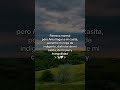 frases de amor y reflexión hermosas #amor #shorts #novios #viral #video #short #love #sad #love .