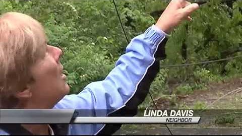 Fallen Trees Cause Power Outages