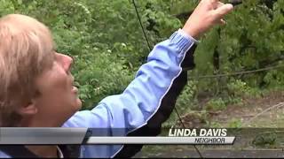 Fallen Trees Cause Power Outages Net Worth