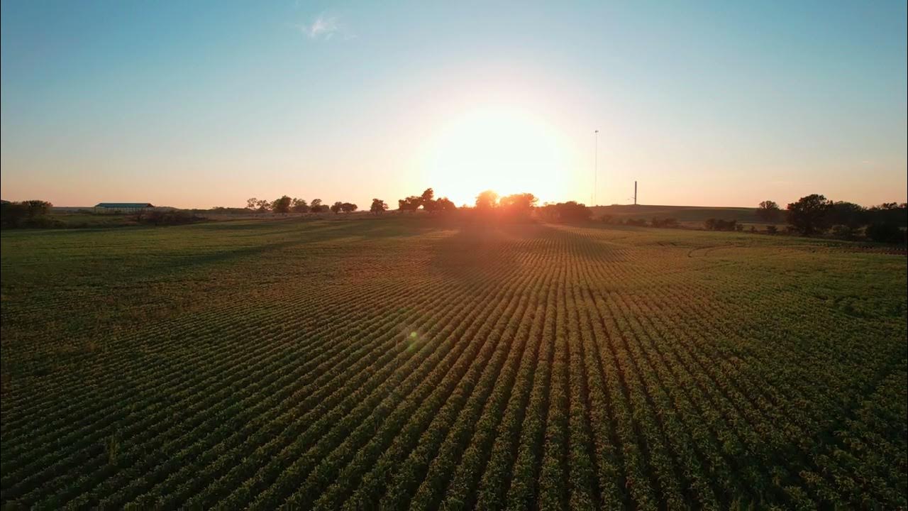 Reece, Kansas Aerial 1 YouTube
