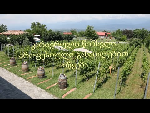 პროფესიული განათლება საქმიანი თაობისთვის