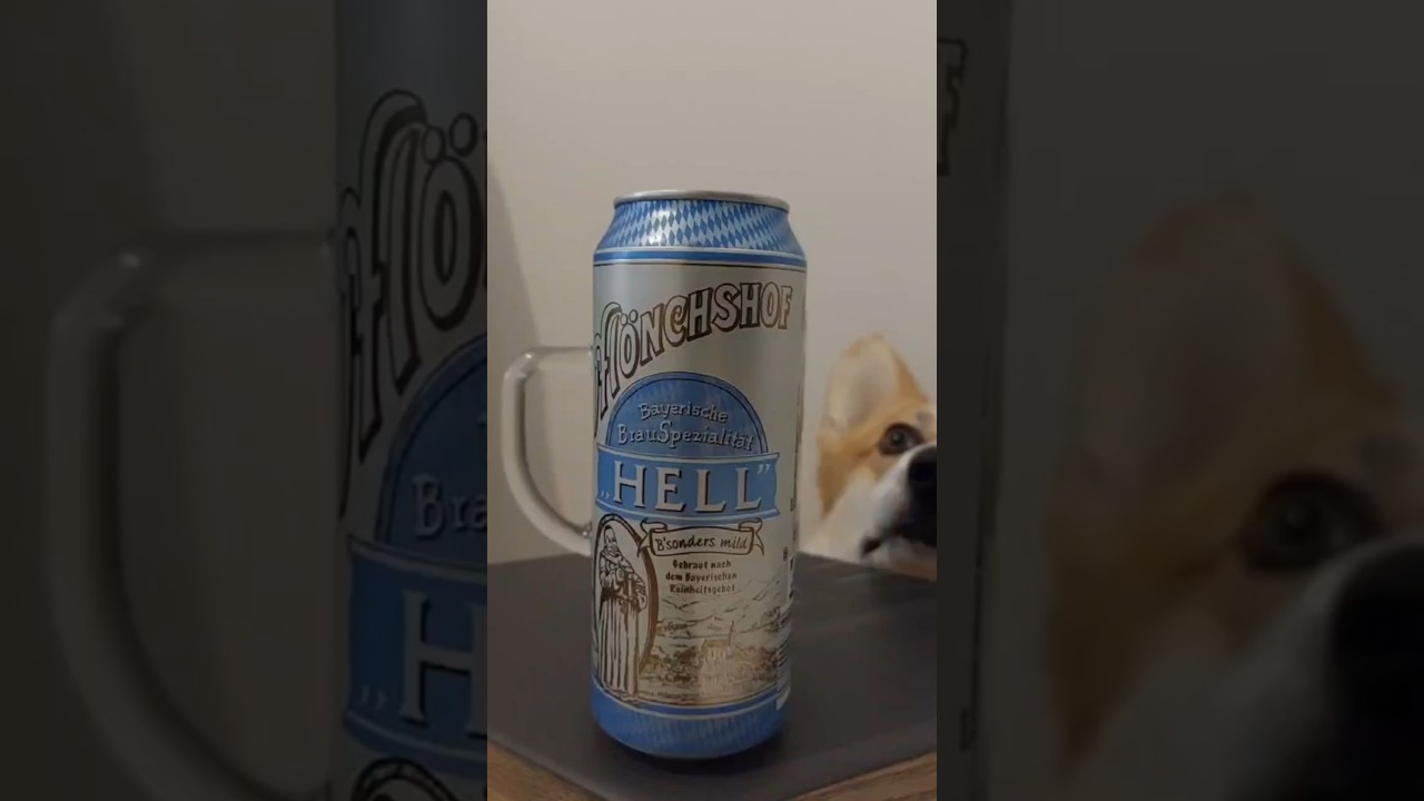 Дегустация пива(Немецкого) из Чехии. Хеллес, который не зашёл. Mönchshof Hell \ Kulmbacher Brauerei