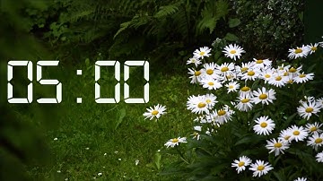 5 Minute Timer || Relaxing Rain Sounds