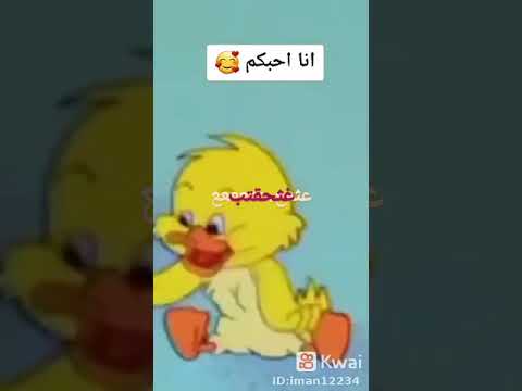 ٢٩ نوفمبر ٢٠٢١