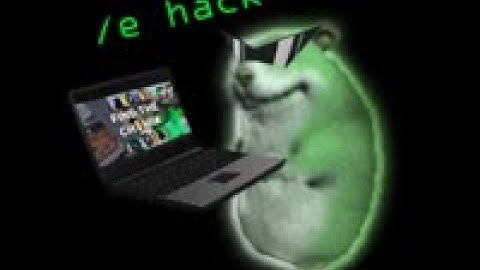 Find the Chomiks: Hacker Chomik Guide