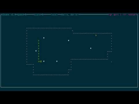 nSnake and nSnake++: the classic snake game