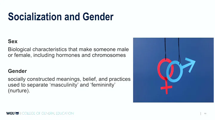 WGU D351 Unit 2 Cohort Video default