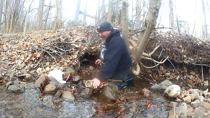 How i make a springhole set for canines and raccoons