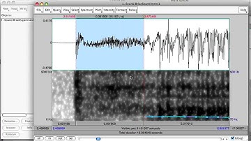 Measuring voice onset time (VOT) in voiced and voiceless stops
