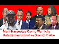 ODU AMEE Obbo Lamaa Magarsaa Garaa Qabsotii Debiie ODU AMEE Obbo Lamaa Magarsaa Garaa Qabsotii Debiie