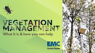 CFEMC Vegetation Management - Why it matters & how you can help