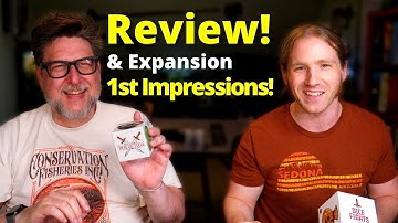 Dice Fights Review and Heal or Steal First Impressions