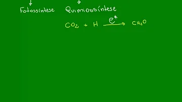 O que é o processo de quimiossíntese?