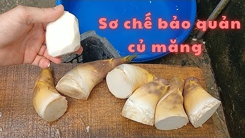 Sơ chế, bảo quản củ măng Lục Trúc sao cho tươi ngon nhất