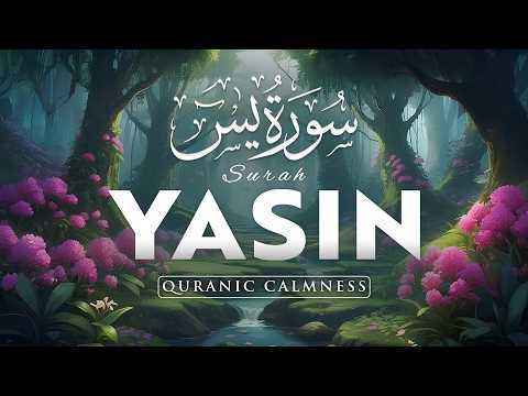 Surah Yaseen (سورة يس) | Peaceful Lofi Quran for Deep Sleep, Relaxation & Inner Peace #quranforsleep