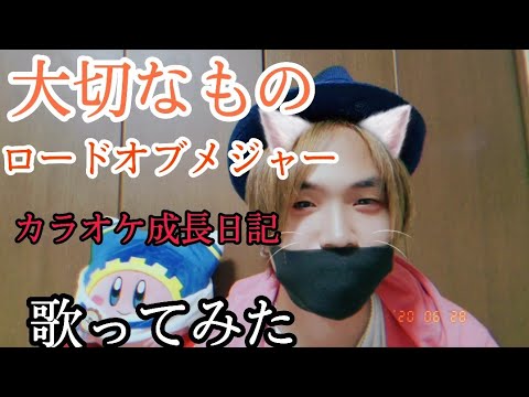 大切なもの ロードオブメジャー カラオケ成長日記 歌ってみた