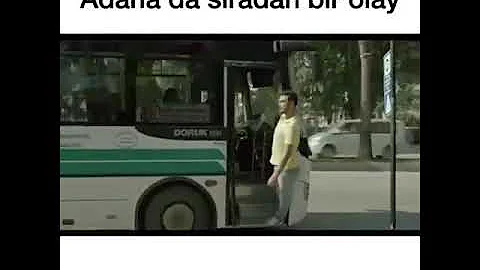 Quali sono i mezzi di trasporto pubblico?