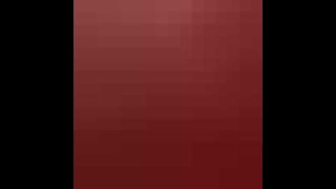 The Smallest AND Shortest Video On YouTube