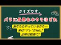 バラに最悪な水やりはどれ ~あなたもやっているかも…実は"アレ"がNG!? 正解は動画で!t~