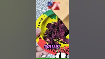 Beginners guide to roll | Zatobe Roller Machine Tutorial🔥🔥