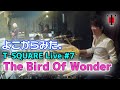 [20] うらからライブ♪♯7 番外編『The Bird Of Wonder』(live at CHICKEN GEORGE 2015)