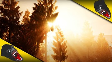 Sunset Landscape & Foliage Test! [Unreal Engine 4]