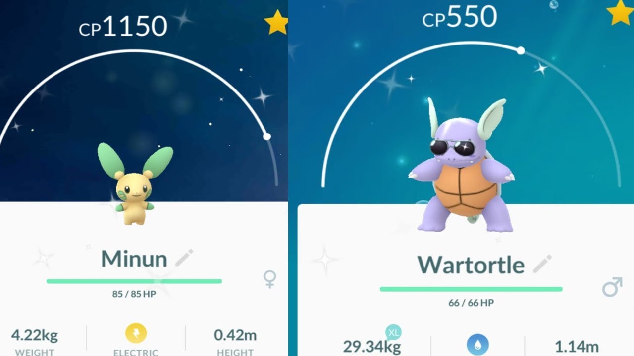 Dove Trovare Squirtle Pokemon Let's Go