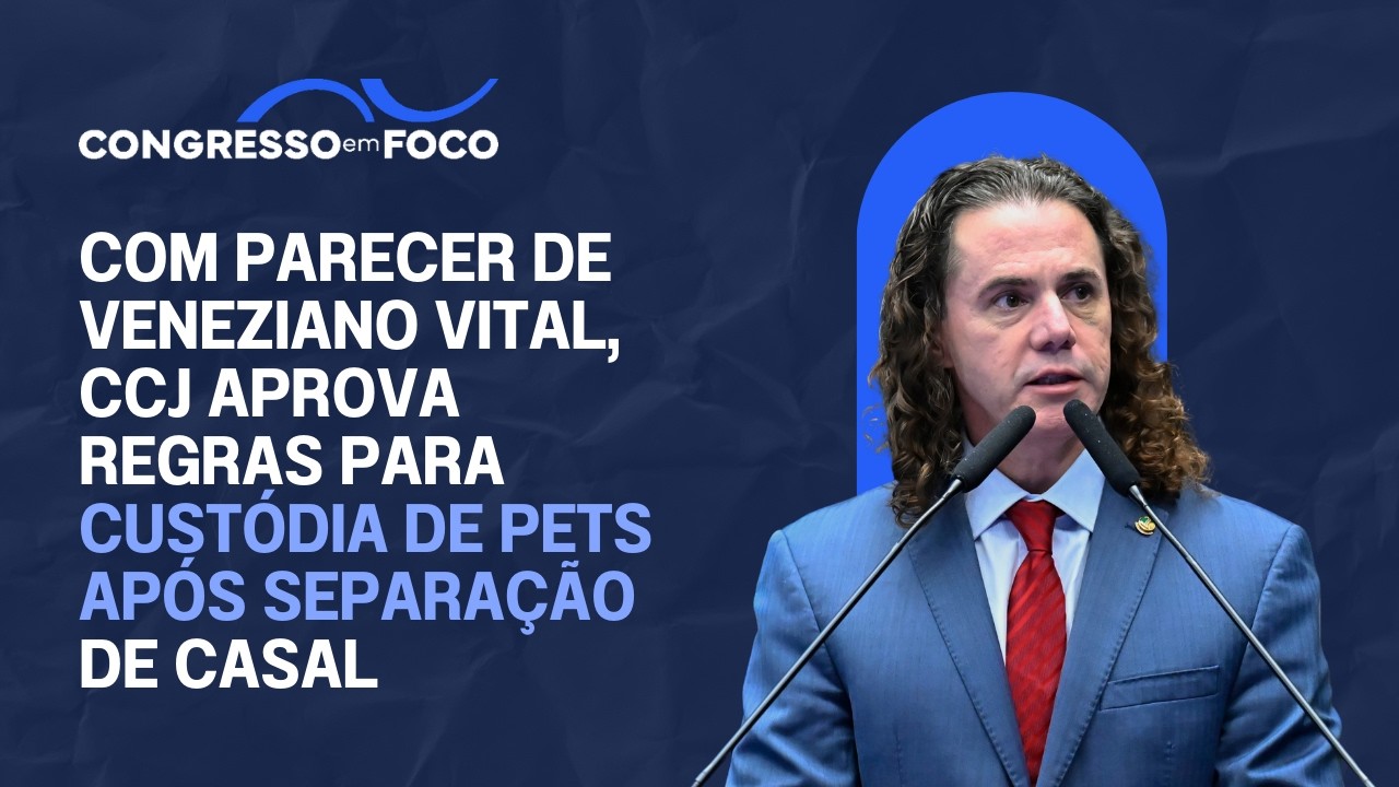 Com parecer de Veneziano Vital, CCJ aprova regras para custódia de pets após separação de casal