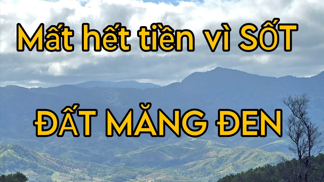 Mất hết tiền vì mua đất Măng Đen lúc sốt