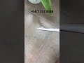🤍 Natural Unheated White Sapphire – 1.21 Ct | Loupe Clean | Certified 💎
