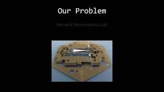 DEMO Harvard AM207 2D Tiling through Stochastic Optimization