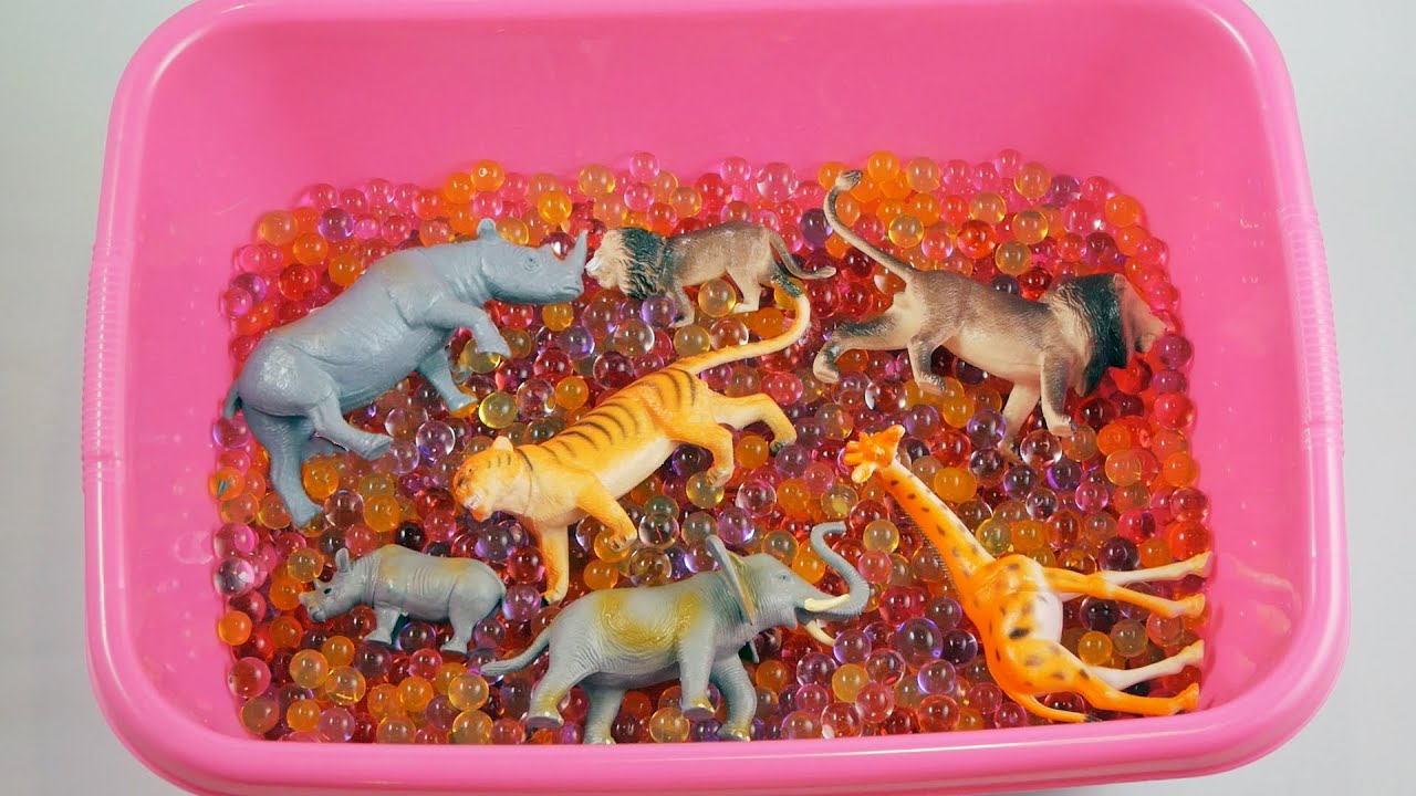 Παιχνιδι για παιδια | Λεκανη με μπαλιτσες | Ζωα της ζουγκλας | Βιντεο για παιδια | KID'S VIDEO