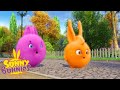 SUNNY BUNNIES - All the Wishes in the World | Season 1 | Cartoons for Children