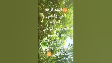 تلاوة عطرة للقارئ بلال دربالي تريح النفوس ماشاء الله صوت رائع أستغفر الله العظيم واتوب اليه ❤❤❤❤❤