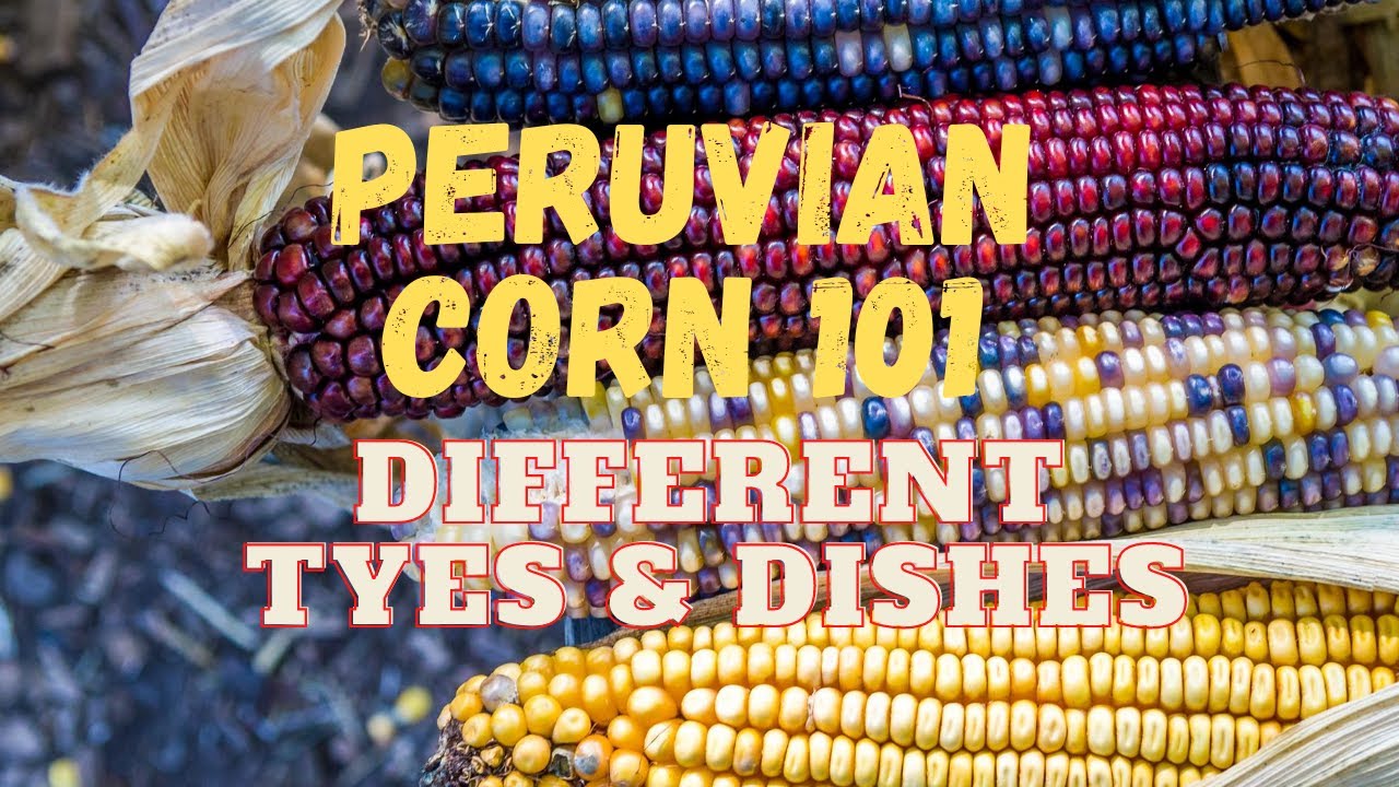Peruvian Corn 101 Different Types & Dishes YouTube