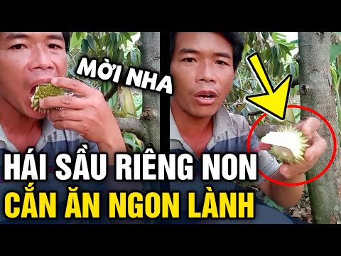 Video Thanh niên 'ĂN SẦU RIÊNG NON' chấm muối ớt ngon lành,... - youtube