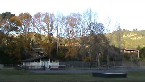 Trex 600 esp Video 1